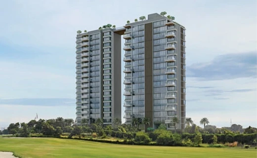 The Storeys